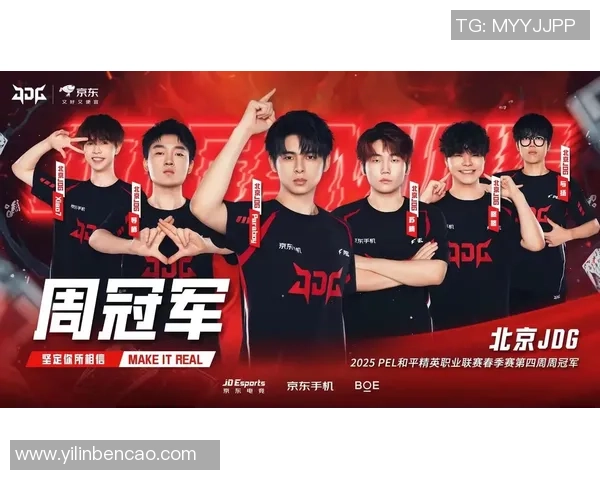 聚焦和平精英：JDG战队在意识提升中的独特策略与思考